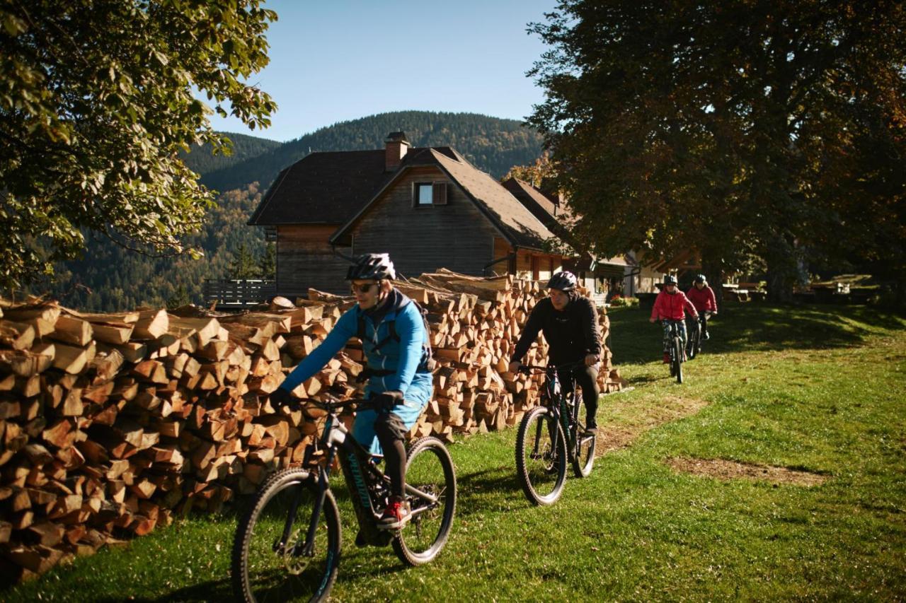 Lake Peak Apartments, Ribnisko Pohorje Ribnica na Pohorju Exterior foto